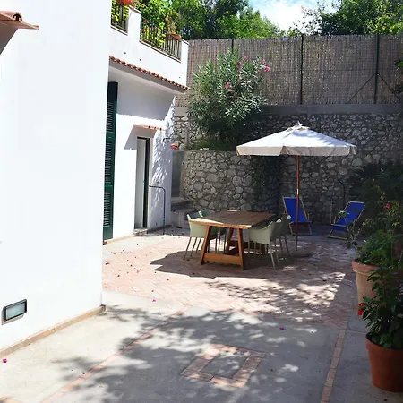 Rosella * Capri